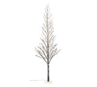 BOP Albero Di Natale Slim Innevato Con Luci Incorporate Afrodite 210 Cm | Albero Luminoso Minimal, Led a Luce Calda | Albero Di Natale Illuminato, Rami Effetto Legno Naturale | 306 LED Bianco Caldo