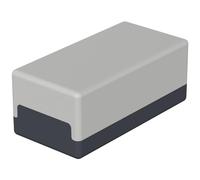 Bopla 05410000 5410002 Element E 410 05410002 - Custodia universale in polistirolo, 50 x 100 x 25 cm, colore: grigio grafite