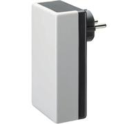 Bopla 43430004 ELETEC SE 430 E/CEE - Custodia a spina 120 x 65 x 40 ABS, policarbonato grigio chiaro, grigio grafite 1S