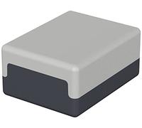 Bopla Element E 406 05406000 custodia elettronica 65 x 50 x 30 Polistirolo Grigio chiaro (RAL 7035), Grafi