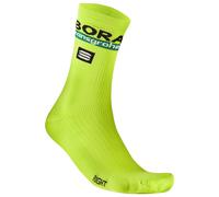 BORA-hansgrohe Calze ciclismo 2024 verde