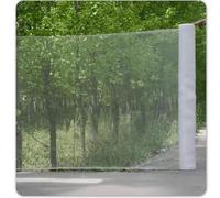 Boracy Rete da Giardino, Anti Insetti Rete a Maglia Fine, Trasparente Rete di Insetti per Verdure, Rete Anti Uccelli, Telo Zanzariera, per Proteggere Giardino, Serra, Piante, Colture(5x40m)