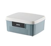 BORDEAG Contenitore per medicinali, scatola medicinali, scatola per medicinali, gadget, cosmetici (25 x 21 x 12 cm)