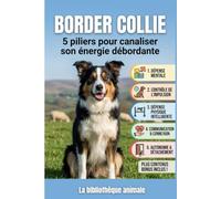 Border Collie : 5 piliers pour canaliser son énergie débordante