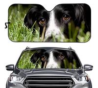 Border Collie Animale Parasole Auto Parabrezza Portabile Parasole per Auto Pieghevole Copri Parabrezza per Car Universale per SUV Estate Camion M
