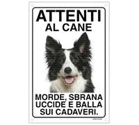 BORDER COLLIE Attenti al cane morde sbrana uccide e balla sui cadaveri 20X30