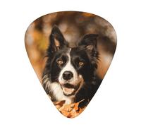 Border Collie Bokeh Autunno Nero Border Collie,12 pezzi di plettri per chitarra, 3 plettri di diverso spessore per chitarra acustica, basso, ukulele