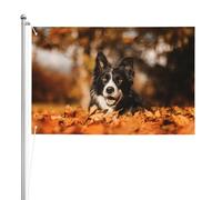 Border Collie Bokeh Autunno Nero Border Collie,Bandiera da giardino, bandiera decorativa da cortile, bandiera bifacciale, 2x3 piedi, per esterni e interni