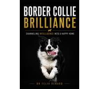 Border Collie Brilliance: Channeling Intelligence into a Happy Home