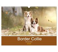 Border Collie - Bunt und clever! (Wandkalender 2026 DIN A3 quer), CALVENDO Monatskalender: Border Collies - die bunten Hunde machen einfach Spaß!