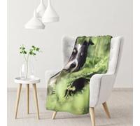 Border Collie Cani Bokeh Animali domestici Nero Bianco,Coperta morbida, calda, anti-pilling, in flanella, peluche, 76 x 102 cm