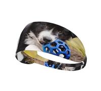 Border Collie Cani Cuccioli Animali Domestici Border Collie Nero,Fascia elastica per capelli multiuso unisex, fascia antisudore sportiva