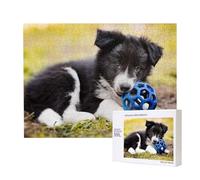 Border Collie Cani Cuccioli Animali Domestici Border Collie Nero,Puzzle in legno da 500 pezzi, gioco di famiglia, puzzle per adulti e adolescenti, decorazioni per la casa
