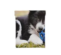 Border Collie Cani Cucciolo Animali Bordo Nero, Spremere il portafoglio superiore da donna Borsa portaoggetti Piccola portamonete Portamonete