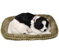 Border Collie cucciolo respirante per adozione