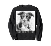 Border Collie Dog Champion Herder Razza Cane Felpa