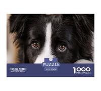 Border Collie Dog Safe Cardboard Material Fun Challenging Experience, Great for Adults And Older Teenagers Alike 52x38cm/1000pcs