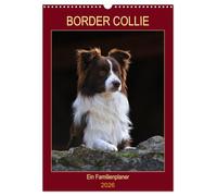 Border Collie - Ein Familienplaner (Wandkalender 2026 DIN A3 hoch), CALVENDO Monatskalender: Der Allrounder unter den Hunderassen in 13 bezaubernden Bildern