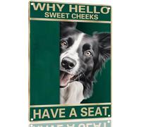 Border Collie "Guance Dolci" Segno Di Latta Ferro Cartello In Metallo Nostalgic Poster Con Placca Per Fattoria Interni Parete 20X30 Cm