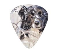 Border Collie Inverno Bianco Neve Nero Cani,12 pezzi di plettri per chitarra, 3 plettri di diverso spessore per chitarra acustica, basso, ukulele
