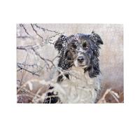 Border Collie Inverno Neve Bianca Cani Neri, Puzzle da 500 pezzi per adulti - Puzzle in legno per adulti e anziani