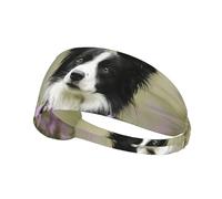 Border Collie Lawn Black Border Collie Animali domestici,Fascia elastica per capelli multiuso unisex, fascia antisudore sportiva