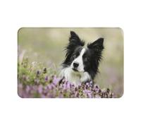 Border Collie Lawn Black Border Collie Pets, zerbino antiscivolo lavabile per interni, 24"x16", tappetino per porta d'ingresso, tappeti da bagno