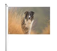 Border Collie Lawn Pets Black White Border,Bandiera da giardino, bandiera decorativa da cortile, bandiera bifacciale, 2x3 piedi, per esterni e interni