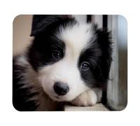 Border Collie Puppy Dog (3) Tappetino Mouse Confortevole Tappetini per Il Mouse Durevole Mousemat per Casa Gioco Ufficio 25X30Cm