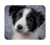 Border Collie Puppy Dog Design Tappetino Mouse Antiscivolo Tappetini Mouse Confortevole Mousemat per Casa Gioco Pc 25X30Cm