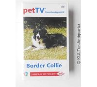Border Collie - Rassehundeporträt