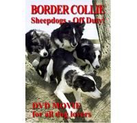 Border Collie Sheepdogs - Off Duty [2005] [DVD] [Edizione: Regno Unito]