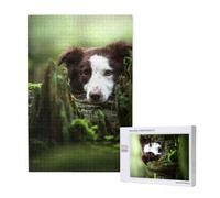 Border Collie Stone Sweet Brown Cani Animali domestici,Puzzle in legno da 1000 pezzi per adulti e adolescenti