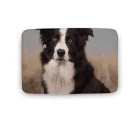 Border Collie - Tappeto per camere grandi, in velluto corallo, con gomma, antiscivolo, per vasca da bagno, elegante, lavabile, per sala giochi, 50 cm x 80 cm