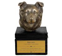 Border Collie urne sulla scatola nera Art-Dog