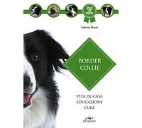 Border Collie: Vita in casa - Educazione - Cure