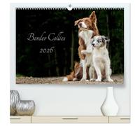 Border Collies 2026 (hochwertiger Premium Wandkalender 2026 DIN A2 quer), Kunstdruck in Hochglanz: Ein Kalender der die bunte Vielfalt der beliebten Hütehunde präsentiert