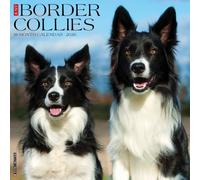 Border Collies 2026 Wall Calendar
