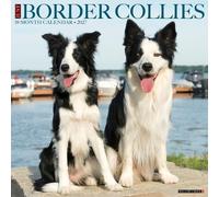 Border Collies 2027 Wall