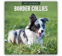 Border Collies - Border Collie 2027 - 16-Monatskalender: Original Red Robin Publishing Ltd-Kalender [Mehrsprachig] [Kalender]