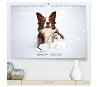 Border Collies (hochwertiger Premium Wandkalender 2026 DIN A2 quer), Kunstdruck in Hochglanz: Faszination Border Collies