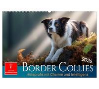 Border Collies Hüteprofis (Wandkalender 2026 DIN A2 quer), CALVENDO Monatskalender: Hunde mit Charakter, kraftvoll, klug und voller Bewegung.