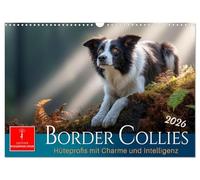 Border Collies Hüteprofis (Wandkalender 2026 DIN A3 quer), CALVENDO Monatskalender: Hunde mit Charakter, kraftvoll, klug und voller Bewegung.