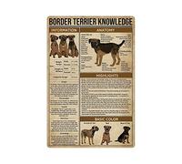 Border Terrier Conoscenza Pipistrello Conoscenza Targhe in metallo latta Pipistrello Infografica Poster retrò Enciclopedia degli animali Guida Stampa Targhe Casa Stanza Aula Ufficio Decorazione