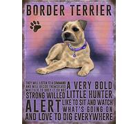 Border Terrier Dog fridge magnet - ALERT, STRONG WILLED, love to dig everywhere ........... by The Original Metal Signs