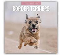 Border Terriers - Border Terrier 2026 - 16-Monatskalender: Original Red Robin Publishing Ltd-Kalender [Mehrsprachig] [Kalender]