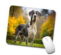 Bordi Cuciti Tappetino per Il Mouse Great Dane Dog 25X30Cm, Tappetini Mouse Antiscivolo Gaming Mousepad per Ufficio Computer Casa