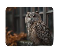 Bordi Cuciti Tappetino per Il Mouse, Owl Sitting By The Window, Antiscivolo Tappetino Mouse, Gaming Mousepad, 25X30cm, PC, Computer, Ufficio