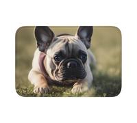 Bordo bloccato orlo tappetino 40 x 60 YYHHAOFA Bulldog francese modello carino per WC, toletta, casa vacanze, bagno principale, bagno dei bambini e suite per gli ospiti