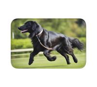 Bordo bloccato orlo tappetino 40 x 60 YYHWHJDE Trotting Flat Coated Retriever impronte di zampe per WC, toletta, casa vacanze, bagno principale, bagno dei bambini e suite per gli ospiti